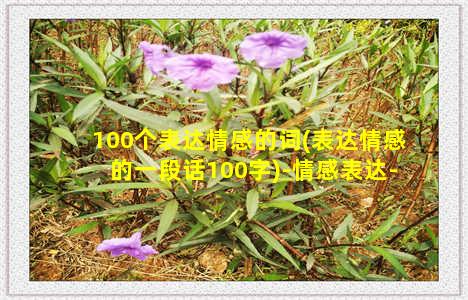 100个表达情感的词(表达情感的一段话100字)-情感表达-情感表达