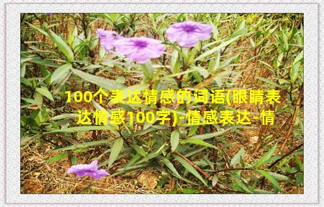 100个表达情感的词语(眼睛表达情感100字)-情感表达-情感表达