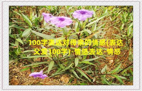 100字表达对母亲的情感(表达父爱100字)-情感表达-情感表达