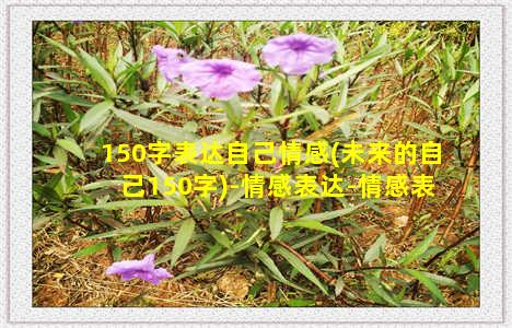 150字表达自己情感(未来的自己150字)-情感表达-情感表达