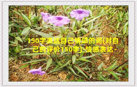 150字表达自己情感的词(对自己的评价150字)-情感表达-情感表达