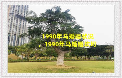 1990年马婚姻状况，1990年马婚姻坎坷