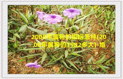 2008年属狗的婚姻怎样(2008年属狗的1982多大)-婚姻-情感表达