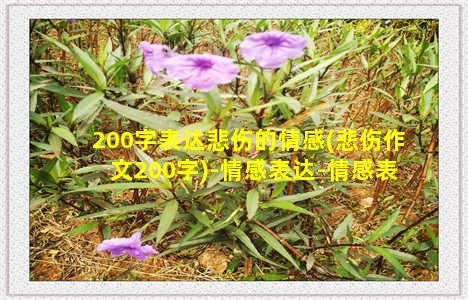 200字表达悲伤的情感(悲伤作文200字)-情感表达-情感表达