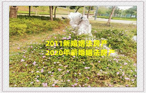 2011新婚姻法房产，2020年新婚姻法房产