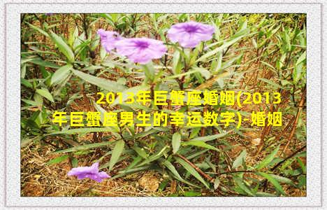 2013年巨蟹座婚姻(2013年巨蟹座男生的幸运数字)-婚姻-情感表达