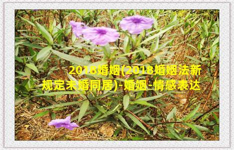 2018婚姻(2018婚姻法新规定未婚同居)-婚姻-情感表达