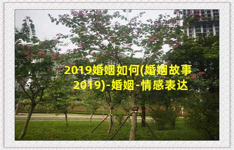 2019婚姻如何(婚姻故事2019)-婚姻-情感表达