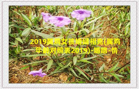 2019属鸡女孩婚姻相克(属鸡年龄对照表2019)-婚姻-情感表达