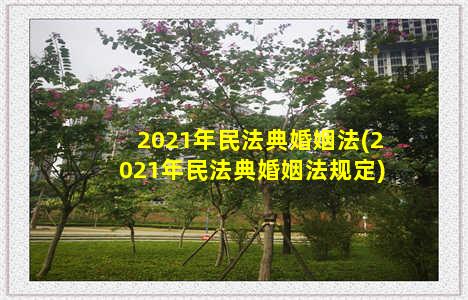 2021年民法典婚姻法(2021年民法典婚姻法规定)