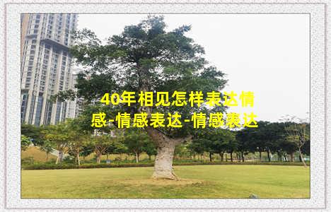 40年相见怎样表达情感-情感表达-情感表达