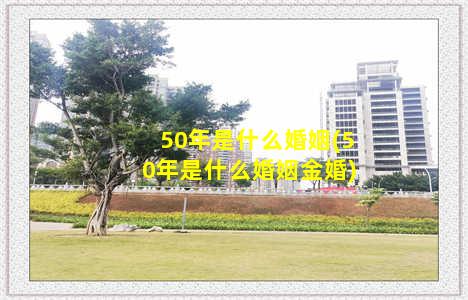 50年是什么婚姻(50年是什么婚姻金婚)