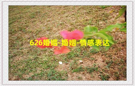 626婚姻-婚姻-情感表达