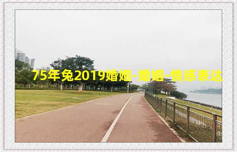 75年兔2019婚姻-婚姻-情感表达