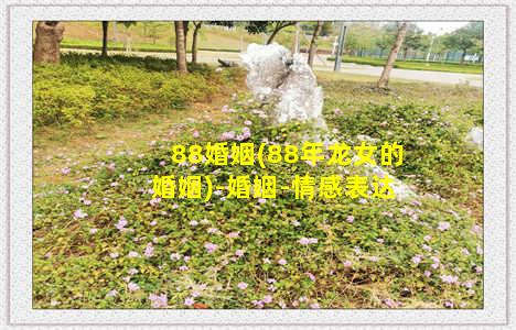 88婚姻(88年龙女的婚姻)-婚姻-情感表达