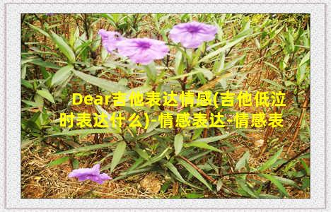 Dear吉他表达情感(吉他低泣时表达什么)-情感表达-情感表达