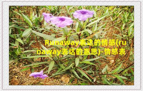 Runaway表达的情感(runaway表达的意思)-情感表达-情感表达