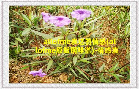 allofme表达的情感(allofme原版钢琴谱)-情感表达-情感表达