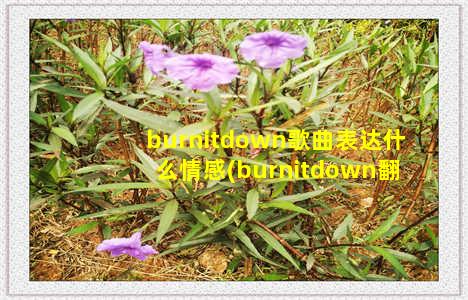 burnitdown歌曲表达什么情感(burnitdown翻译)-情感表达-情感表达