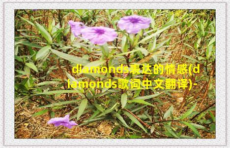 diamonds表达的情感(diamonds歌词中文翻译)-情感表达-情感表达