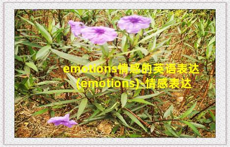 emotions情感的英语表达(emotions)-情感表达-情感表达