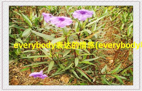 everybody表达的情感(everybody和everyone的区别)-情感表达-情感表达