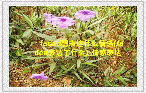 faded想表达什么情感(faded表达了什么)-情感表达-情感表达