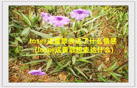 loser这首歌表达了什么情感(loser这首歌想表达什么)-情感表达-情感表达