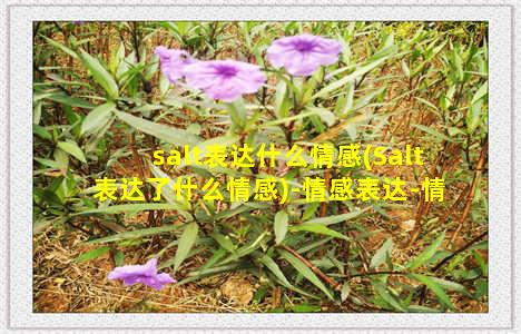 salt表达什么情感(Salt表达了什么情感)-情感表达-情感表达