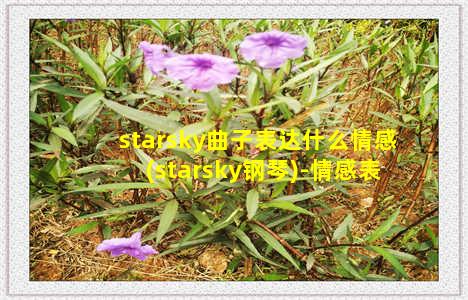 starsky曲子表达什么情感(starsky钢琴)-情感表达-情感表达