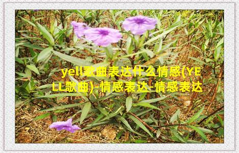 yell歌曲表达什么情感(YELL歌曲)-情感表达-情感表达