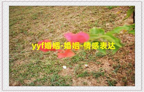 yyf婚姻-婚姻-情感表达