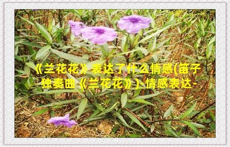 《兰花花》表达了什么情感(笛子独奏曲《兰花花》)-情感表达-情感表达