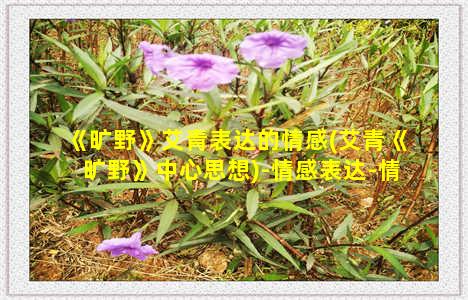 《旷野》艾青表达的情感(艾青《旷野》中心思想)-情感表达-情感表达