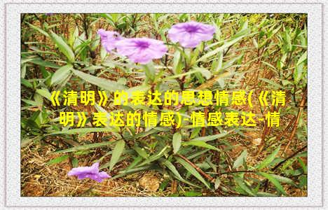 《清明》的表达的思想情感(《清明》表达的情感)-情感表达-情感表达