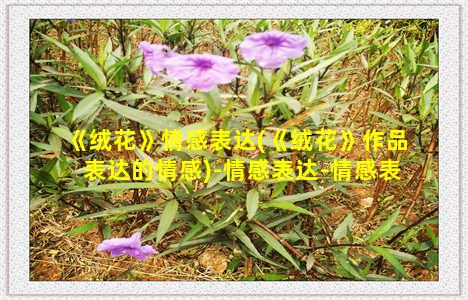 《绒花》情感表达(《绒花》作品表达的情感)-情感表达-情感表达