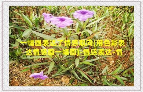 一幅画表达了情感取向(用色彩表达情感画一幅画)-情感表达-情感表达