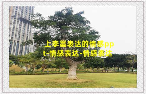 上李邕表达的情感ppt-情感表达-情感表达