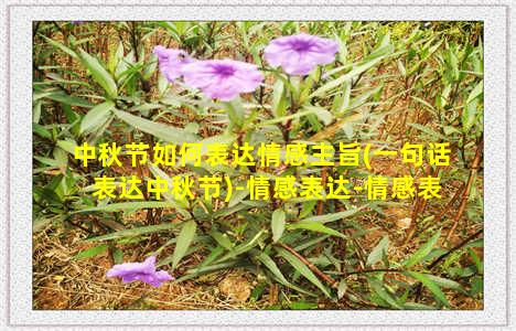 中秋节如何表达情感主旨(一句话表达中秋节)-情感表达-情感表达