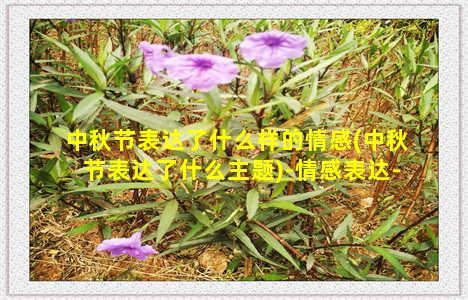 中秋节表达了什么样的情感(中秋节表达了什么主题)-情感表达-情感表达