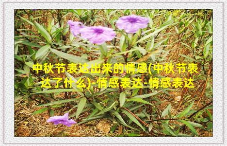 中秋节表达出来的情感(中秋节表达了什么)-情感表达-情感表达