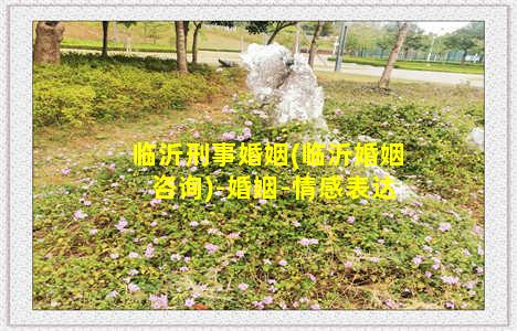 临沂刑事婚姻(临沂婚姻咨询)-婚姻-情感表达