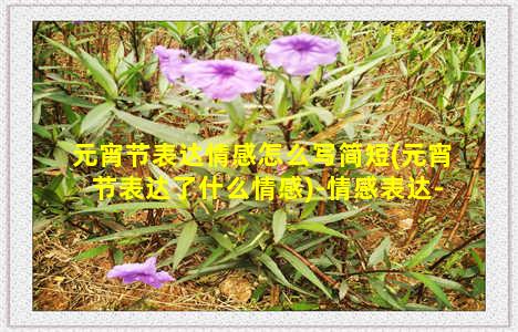 元宵节表达情感怎么写简短(元宵节表达了什么情感)-情感表达-情感表达