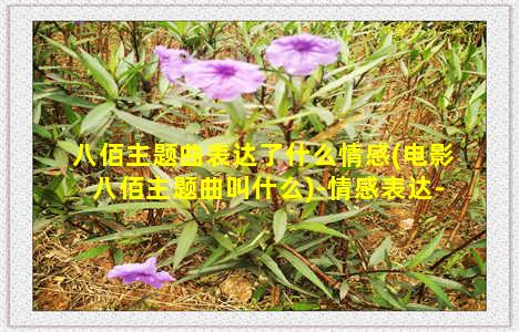 八佰主题曲表达了什么情感(电影八佰主题曲叫什么)-情感表达-情感表达