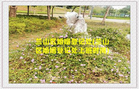 兰山区婚姻登记处(兰山区婚姻登记处上班时间)