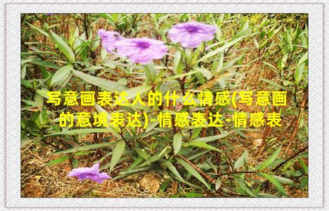 写意画表达人的什么情感(写意画的意境表达)-情感表达-情感表达