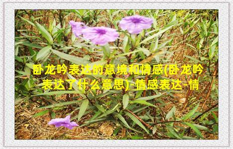 卧龙吟表达的意境和情感(卧龙吟表达了什么意思)-情感表达-情感表达