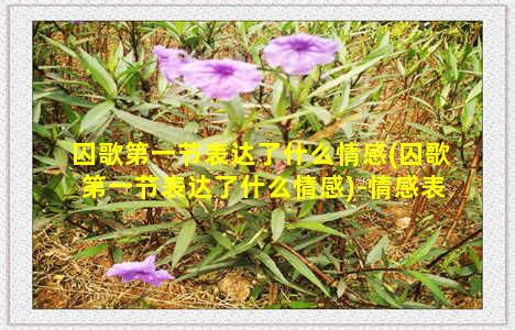 囚歌第一节表达了什么情感(囚歌第一节表达了什么情感)-情感表达-情感表达