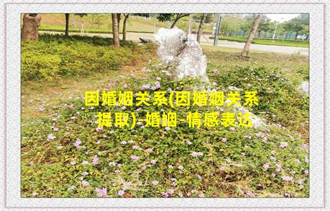 因婚姻关系(因婚姻关系提取)-婚姻-情感表达