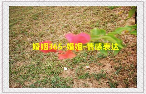 婚姻365-婚姻-情感表达